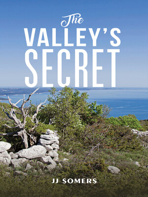 cover image of The Valley's Secret